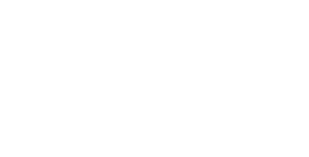 SANS Company Logo
